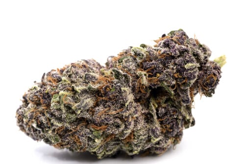 Granddaddy purple bud