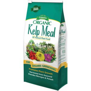 kelp meal organic nutrients for potassium deficiency in cannabis