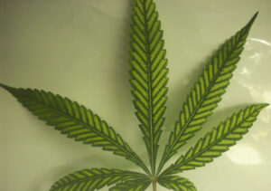 magnesium-deficiency
