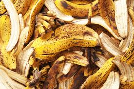 banana skins for marijuana fertilizer