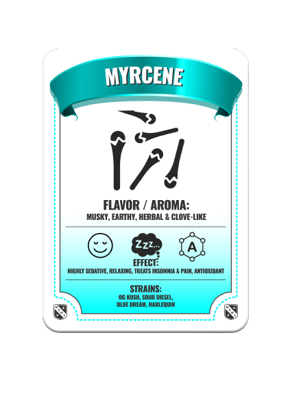 Myrcene Terpene Cannabis Effects