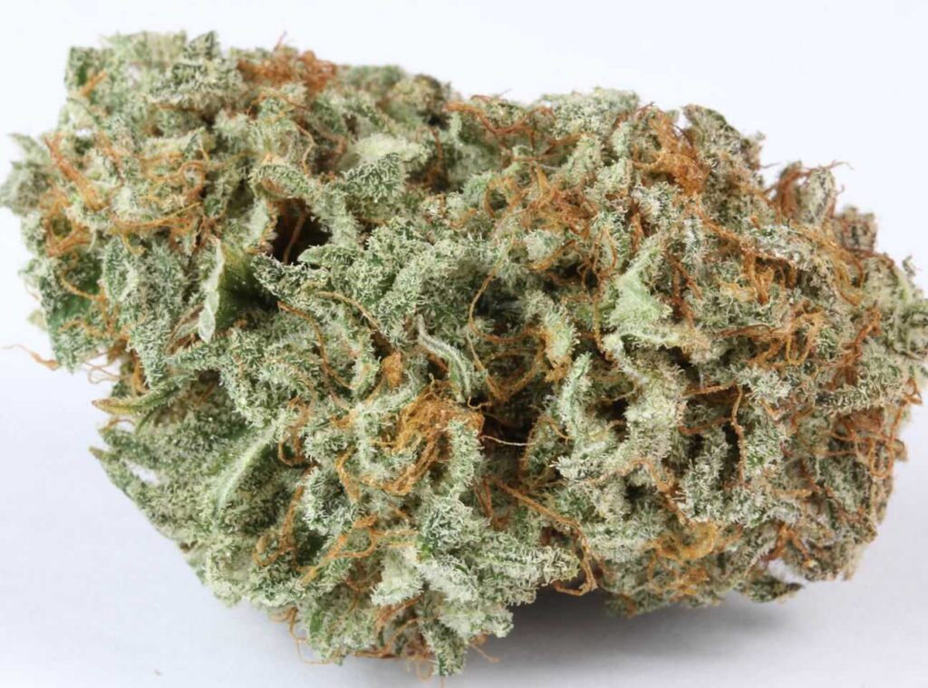master kush weed marijuana bud