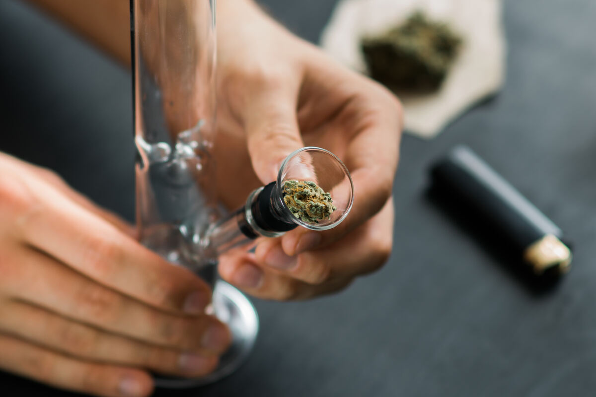 Bongs and Bowls: How to Pack a Bowl of Weed