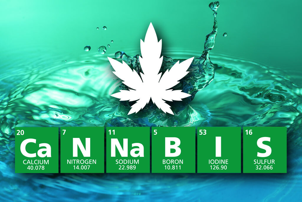 Maximum Potential – Using Nutrients to Get The Most Out of Your Plants