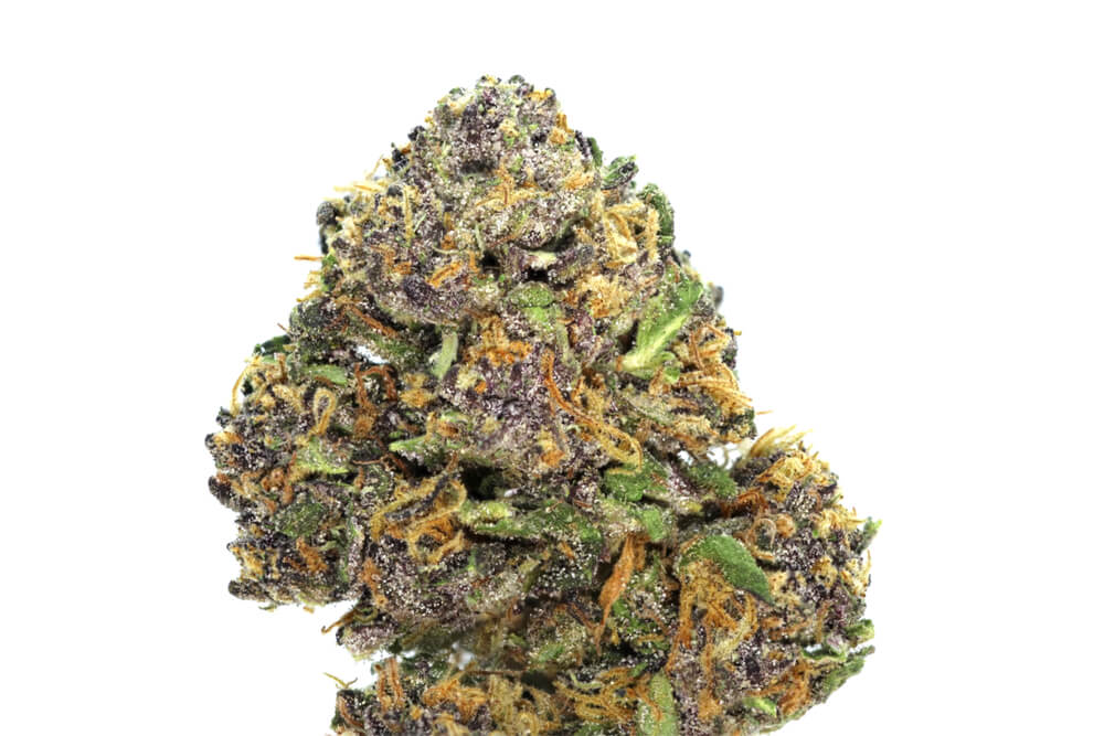 Dried Hindu Kush strain bud
