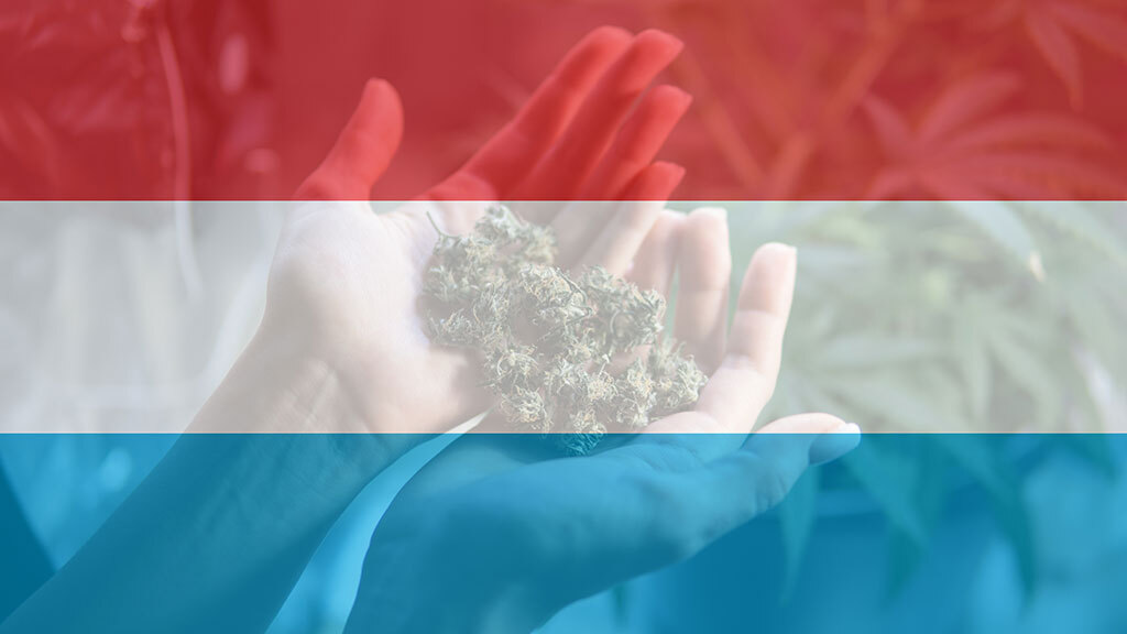 Luxembourg Becomes The First European Country to Legalize Weed