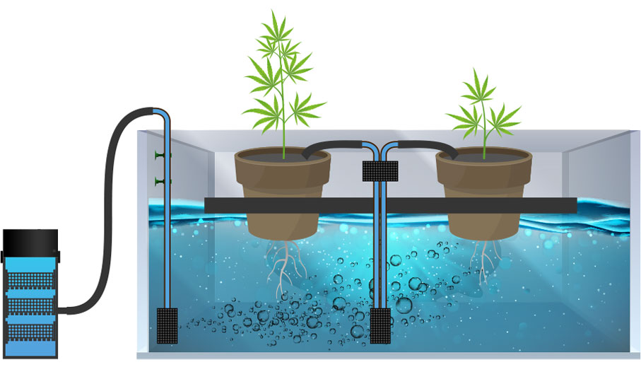 diagram of bubbleponics hydroponics system