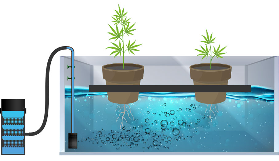 diagram of DWC hydroponics system