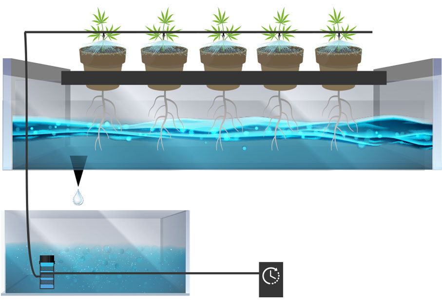 diagram of drip irrigation hydroponics system