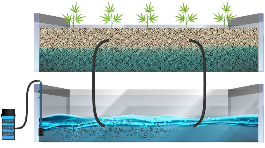 diagram of wick hydroponic system