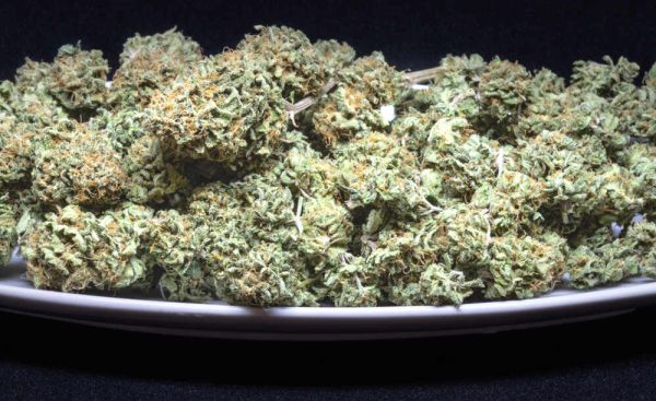 Pile of original cheese strain weed in a bowl