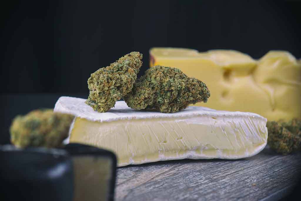 The Ultimate Cheese Strain Guide