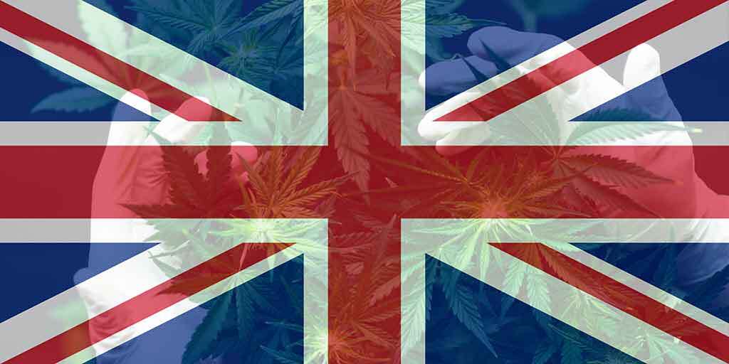 The Latest on Cannabis Legalisation in UK - Your Top Questions Answered