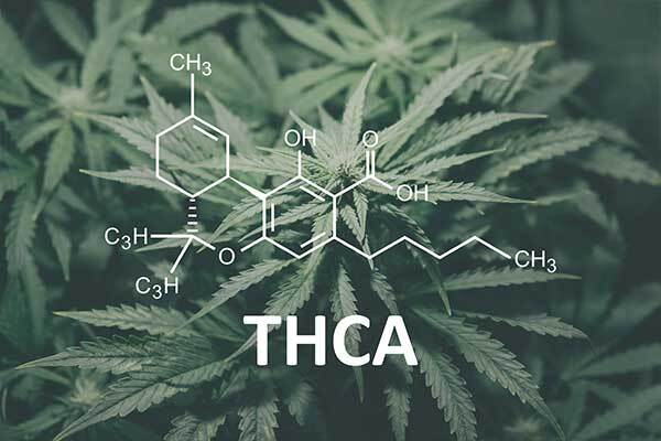 THCa Molecule