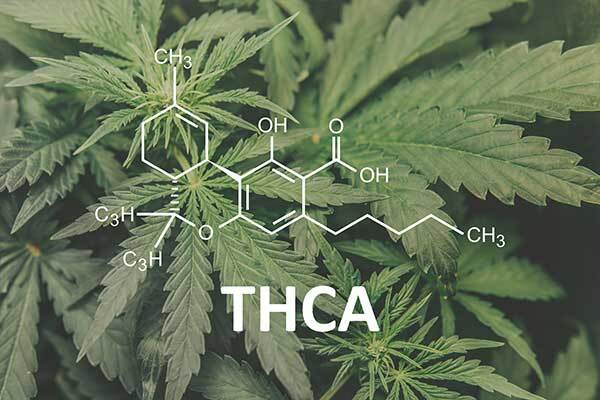 What's the difference between THC and THCa?