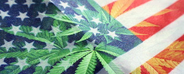 What are the most popular marijuana strains in the US and why?