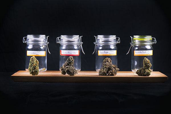 top shelf cannabis bud in dispensary