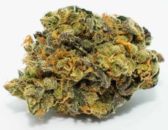 Strain Review Fresh Bros