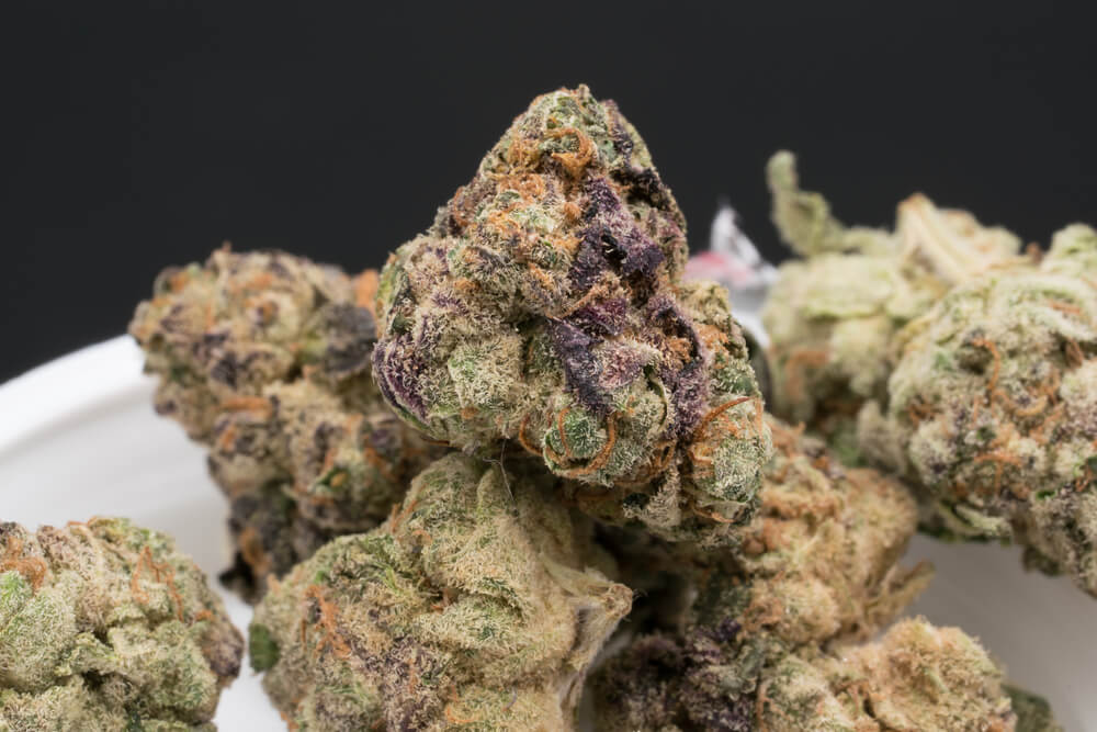 Apple Fritters Strain Review