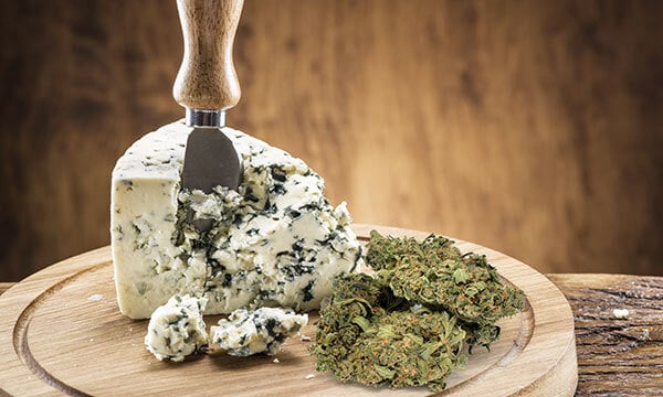 What Type Of Strain Is Blue Cheese?
