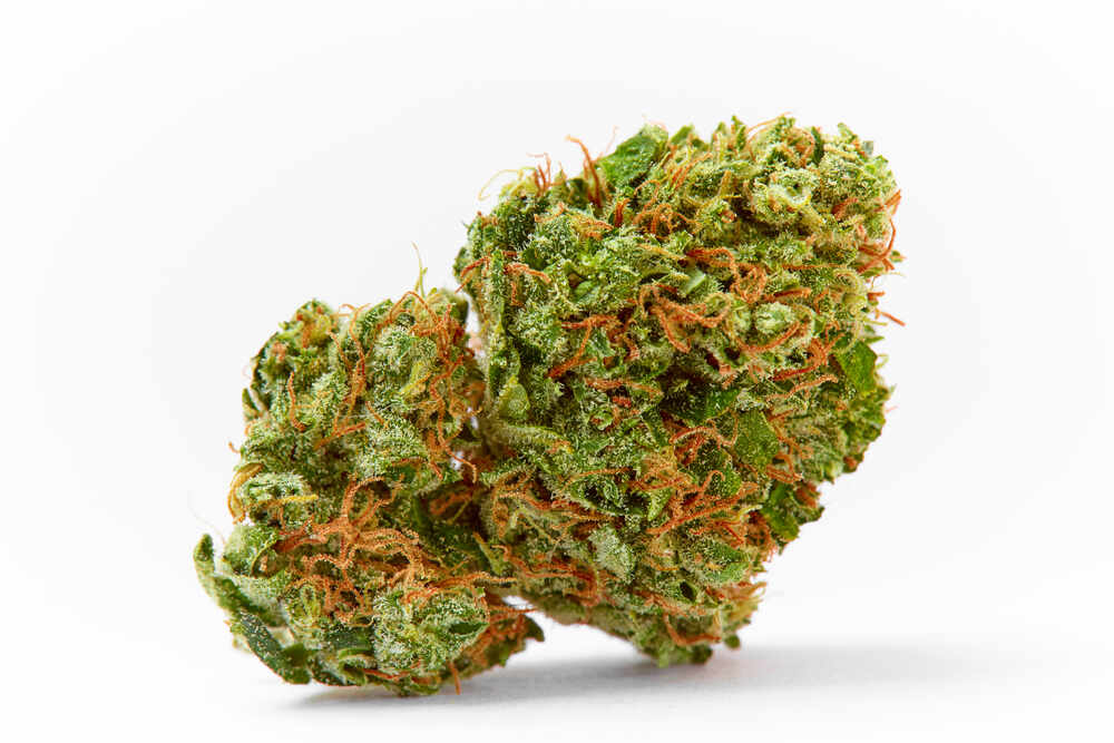 Fluffy Cannabis Bud
