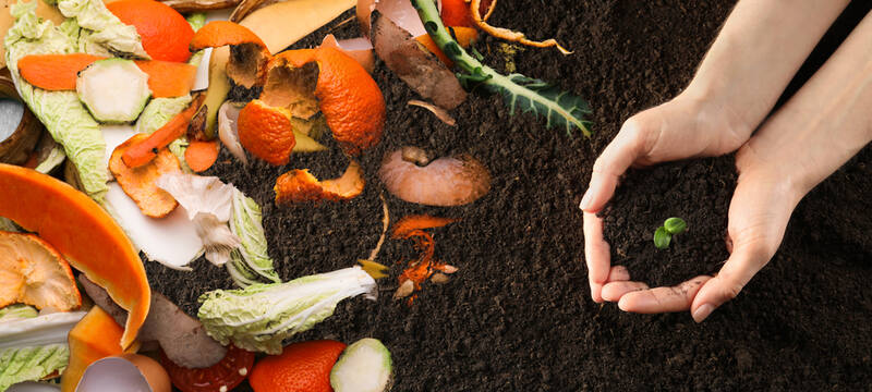 Food Compost with soil next to it.