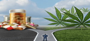 Cannabis and medicine