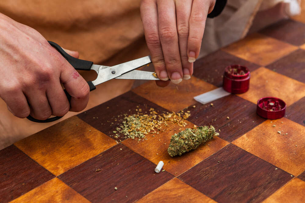 grinding weed with scissors
