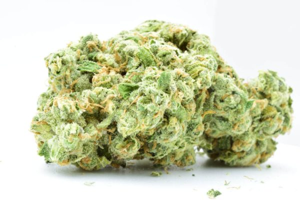 white-runtz-strain-bud