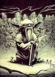 Master-Breeder