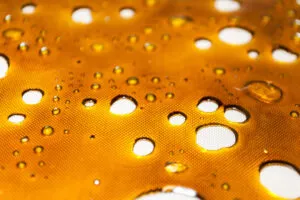 BUTANE HASH OIL