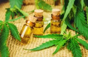cannabis oil