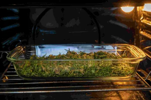 decarbing weed in a glass oven baking dish