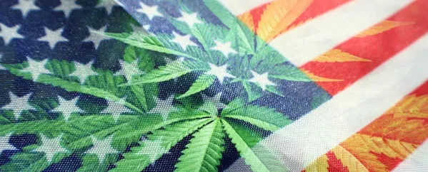 Cannabis in the US