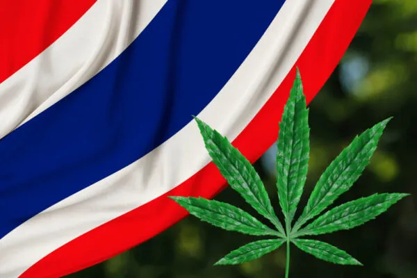 thai flag with cannabis leaf overlay