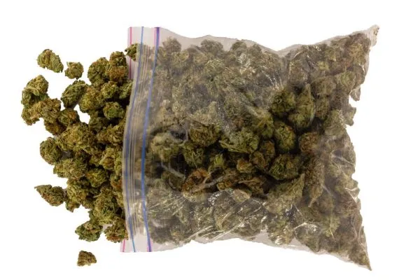 a-pound-of-weed-in-a-bag