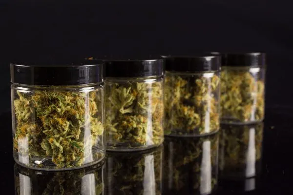 4 jars of weed all divided into a quarter of weed each
