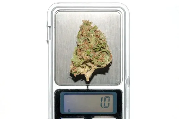 a gram of weed on scales