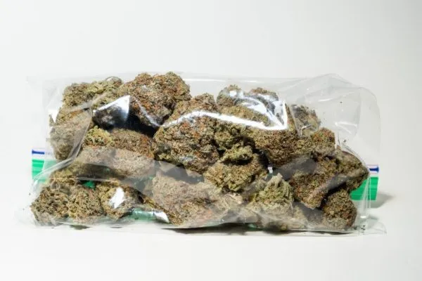 a zip of weed stored in an airtight zip bag