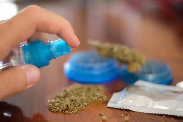 cannabis bud being sprayed with synthetics