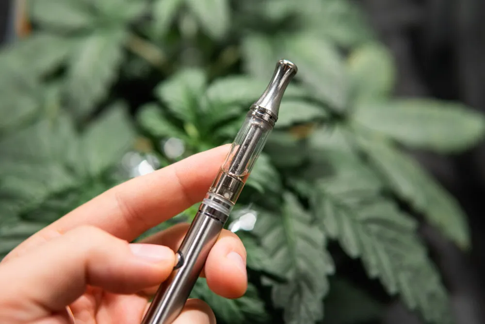 a thc vape with a cannabis plant blurred in the background